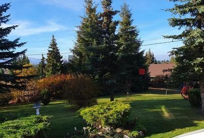 Cabana din Beliș — în sfârșit ai găsit-o. Și o să-ți dai seama imediat de ce. - 14