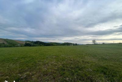 Teren de 11290 mp, în Meseșenii de Jos - 1