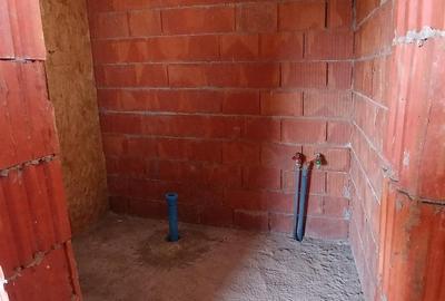 Casă cu 2 camere cu Teren 987 Mp în Peciu Nou - 6