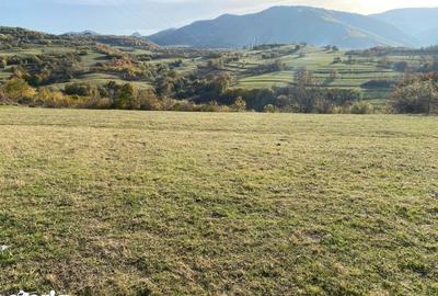 Teren de 972 mp, în Gura Râului - 4