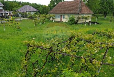 Casa cu teren De Vanzare in Ariesul de Padure - 10