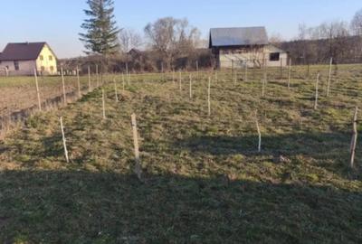 Casă cu 7 camere cu Teren 2500 Mp în Marginea - 4