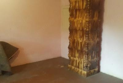 Casă cu 4 camere cu Teren 1130 Mp în Uivar - 9