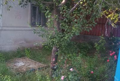 Casă cu 3 camere în Ulmeni - 2