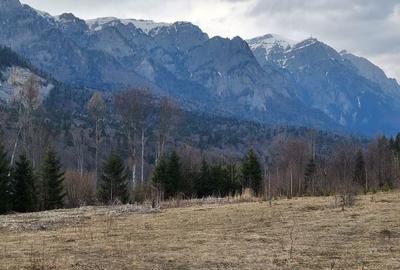 Teren de 622 mp, în Central - 1