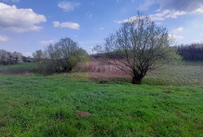 Teren Construcții intravilan de 3400 mp, în Buturugeni - 15