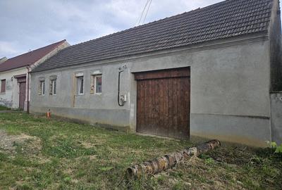 Casă cu 2 camere cu Teren 1600 Mp în Slatina-Nera - 2