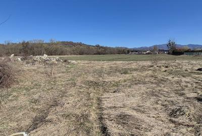 Spațiu comercial, în Dumbrăvița - 5