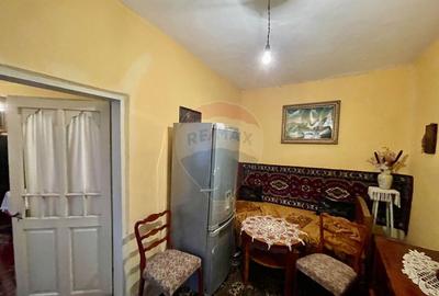 Casă cu 4 camere cu Teren 5088 Mp în Neicu - 15