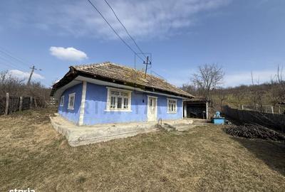 Spațiu comercial, în Dobrovăț - 2