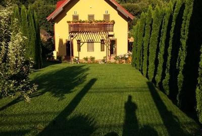Casă cu 6 camere cu Teren 1629 Mp în Plopu - 15