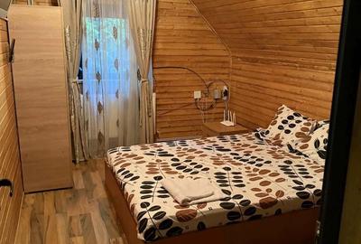 Cabana de inchiriat ranca - 5