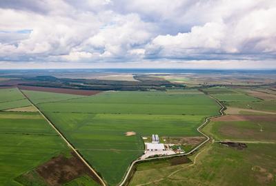 Teren 13500000 mp in Socodor - 3