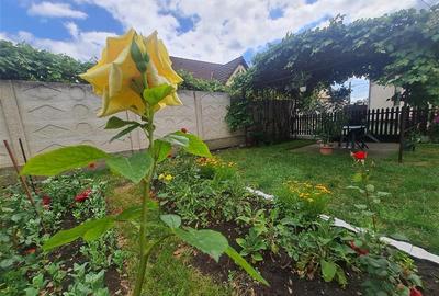 Casă individuală cu 3 camere cu Teren 490 Mp în Central - 9