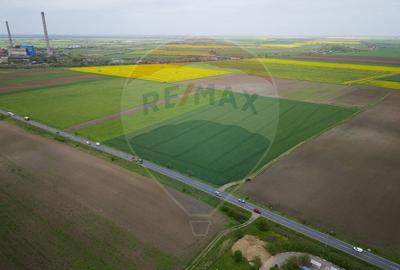 Teren 30,000mp Arad / Soseaua Centura Arad Nord - 3