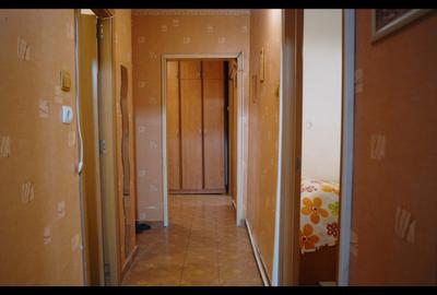 Apartament 2 camere Titan - piata MInis - 10