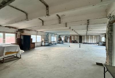 Casă cu 10 camere cu Teren 3883 Mp în Calea Caransebeșului - 9