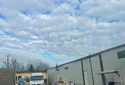 Teren agricol intravilan de 5350 mp, în Chitila - 1