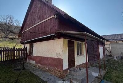 Casă cu 5 camere cu Teren 3252 Mp în Aghireșu - 11