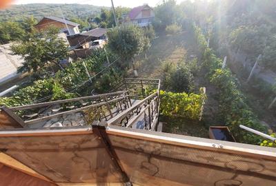 Casa Zorleni, 4 camere 130 mp + vie, anexe, curte 1800 mp, proprietar - 4