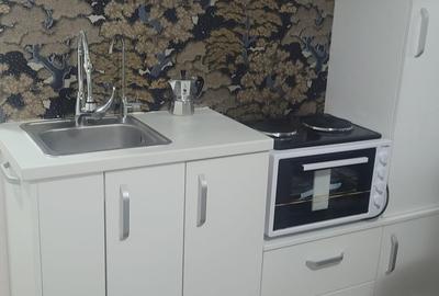 Garsonieră semidecomandată în Vitan - 6