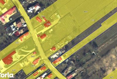 Casă cu 5 camere cu Teren 1918 Mp în Țifești - 4