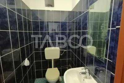 Spatiu comercial pe 2 niveluri cu vad 440 utili zona Terezian Sibiu - 11