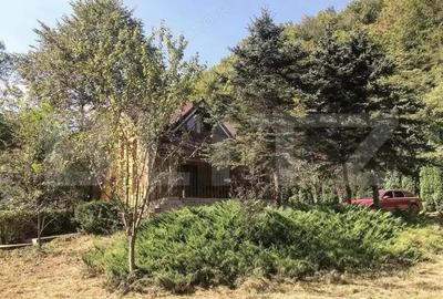 Casa de Vacan?a pe Valea Ighielului 3 camere, 2500 mp curte - 4