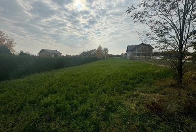 Teren de 2500 mp, în Mălăiești - 9
