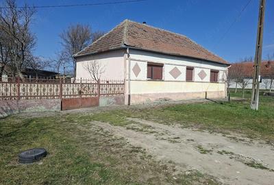 Casă cu Teren 1681 Mp în Birda - 6