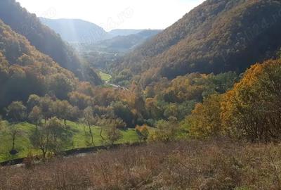 Teren de 8500 mp, în Hărțăgani - 1