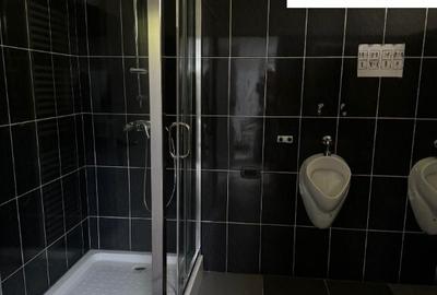 Ansamblu de hale, zona ie?ire spre Izvoare. Pre? 5 Eur/mp - 13