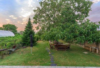 De vanzare vila Cornetu, pentru gospodarul din tine. - 8