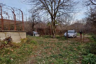 Vand casa Vrancea - 4