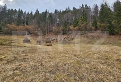 Teren în Scărișoara - 5