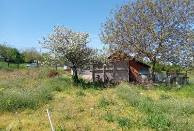 Casă cu 2 camere în Rălești - 4