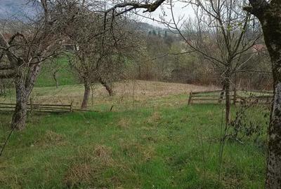 Casa la sat- cu teren de 3000 m - 4