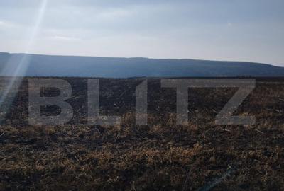Teren 2,8 ha, langa Autostrada, utilitati aproape, Letcani - 1