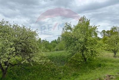 Teren agricol extravilan de 20876 mp, în Breb - 6