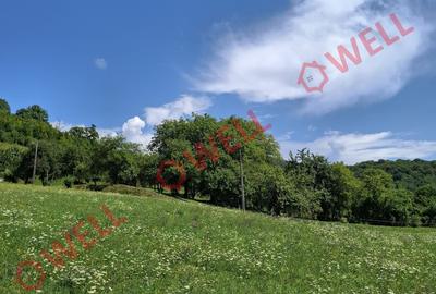 De vânzare teren intravilan de 7.600 m² situat în Sovata, pe strada Alunei (Mogy - 2