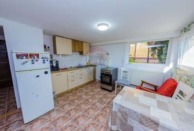 Casă individuală cu 5 camere cu Teren 1133 Mp în Satu Nou de Jos - 21