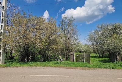 Teren de 3800 mp, în Moșteni - 7