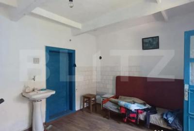 Casă cu 3 camere cu Teren 1400 Mp în Mihai Viteazu - 10