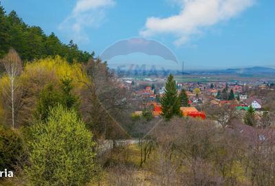 Spațiu comercial, în Satulung - 11