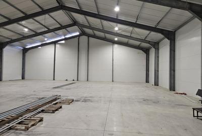 Zona Est - Drumul Intre Tarlale - Cernica - Pallady - Autostrada A2 investitie - 2