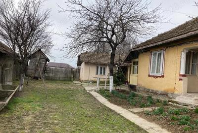 Casă cu Teren 754 Mp în Gâldău - 3