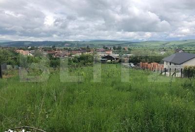 Teren de 10656 mp, în Bod - 3