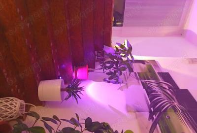 Casă cu 5 camere cu Teren 180 Mp în Central - 5