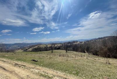 Spațiu comercial, în Central - 4