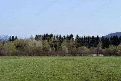 Teren de 7838 mp, în Zărnești - 4